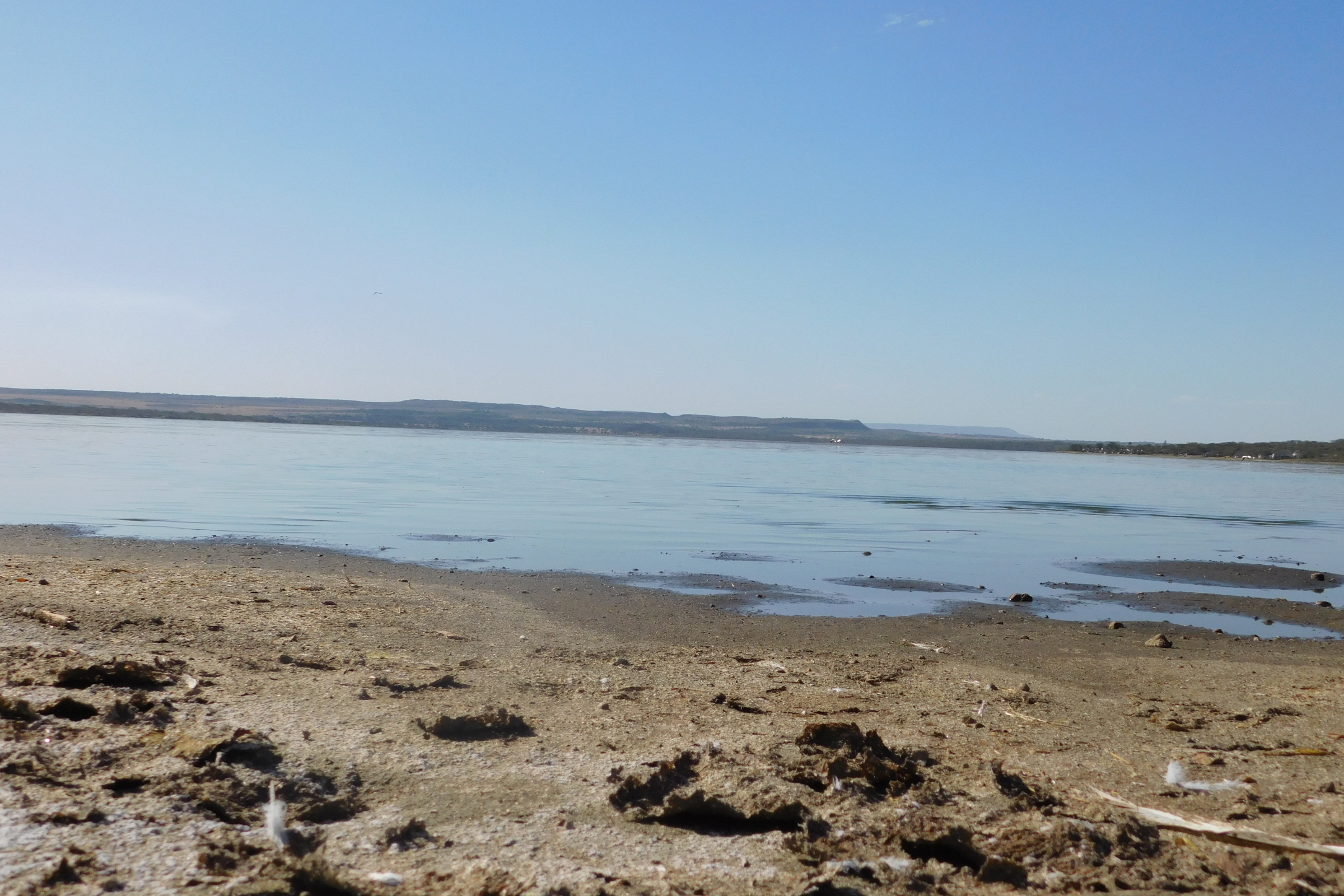lake elementaita (3).webp